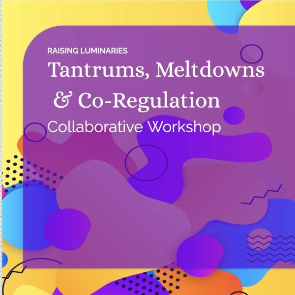 tantrums, meltdowns & co-regulation collaborative workshop